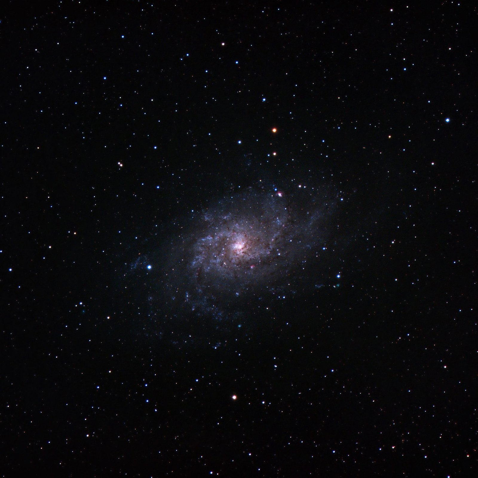 M33