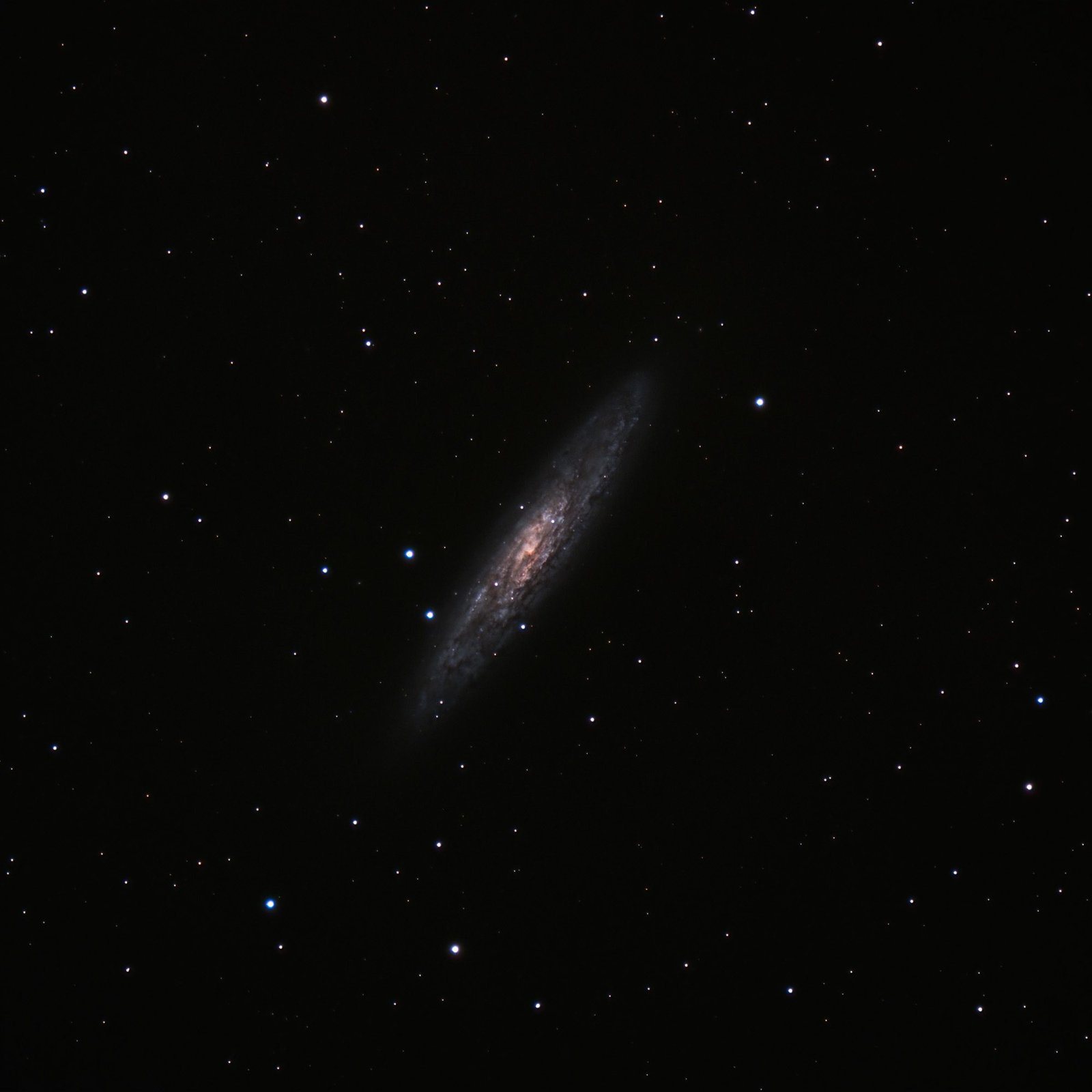 Sculptor Galaxy